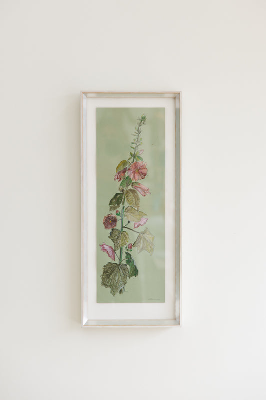 Justin Giunta "Hollyhock Study"