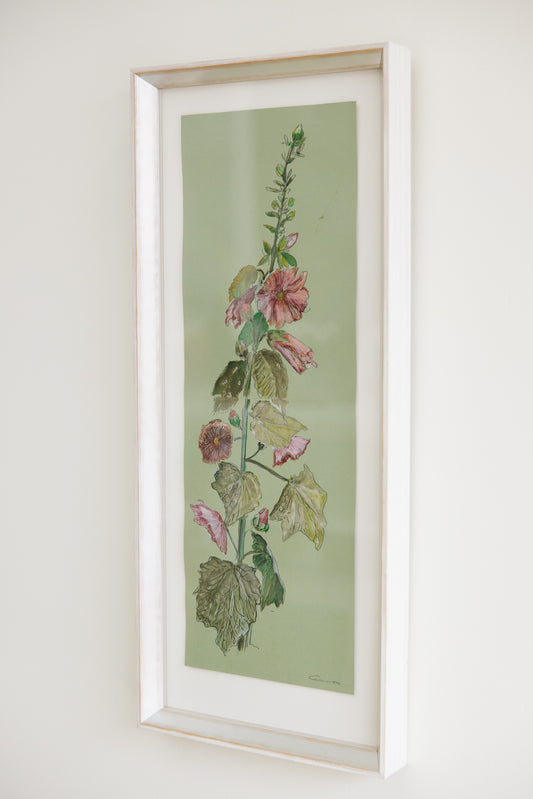 Justin Giunta "Hollyhock Study"