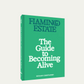 The Guide to Becoming Alive - Flamingo Estate