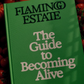 The Guide to Becoming Alive - Flamingo Estate