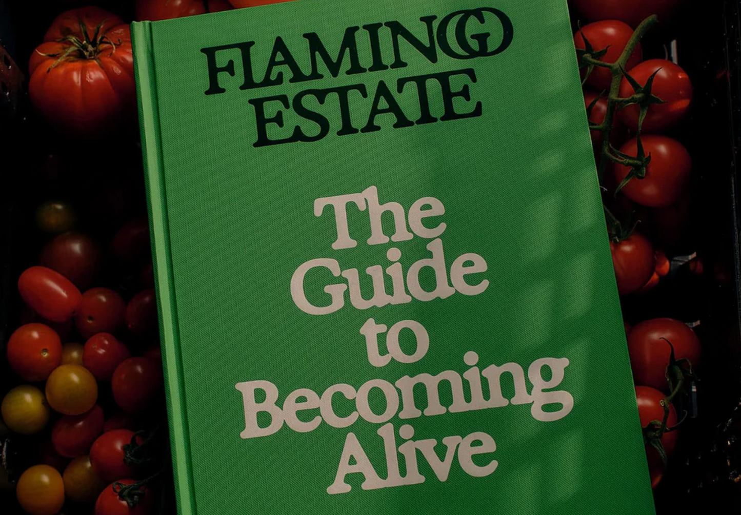 The Guide to Becoming Alive - Flamingo Estate