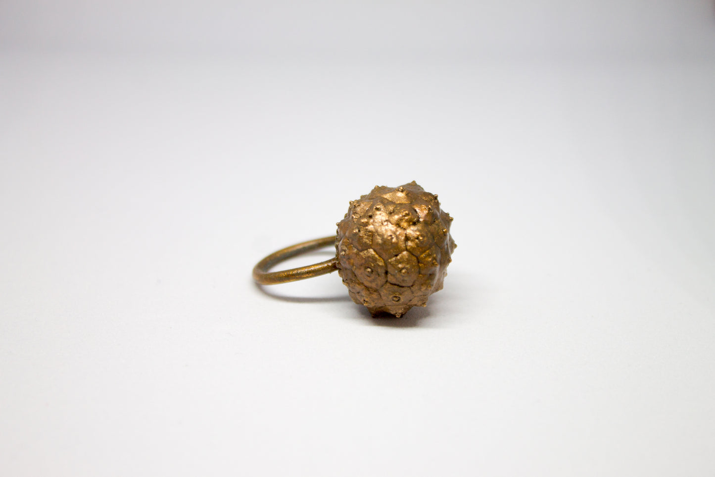 Lauren Frances Evans Dogwood Seed Ring